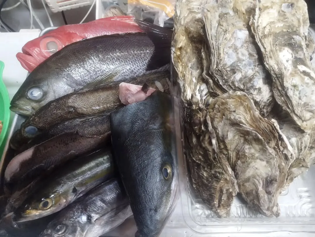 本日は小岩で海鮮と日本酒を楽しみたい方におすすめの内容です!...