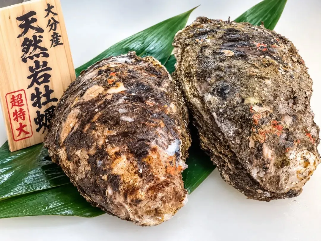 本日はとんでもない食材が入荷しました!!