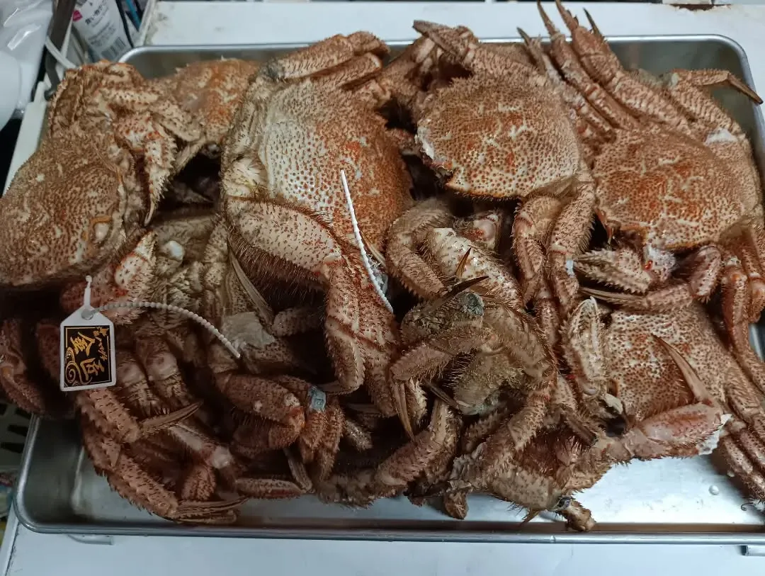 🦀 本日は毛ガニ甲羅盛りが特売!!